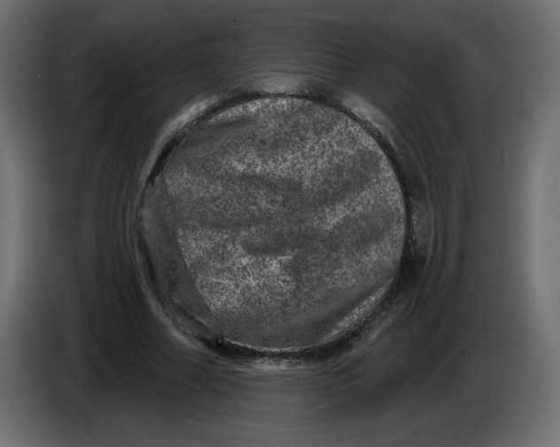 X0000083570682200703021747