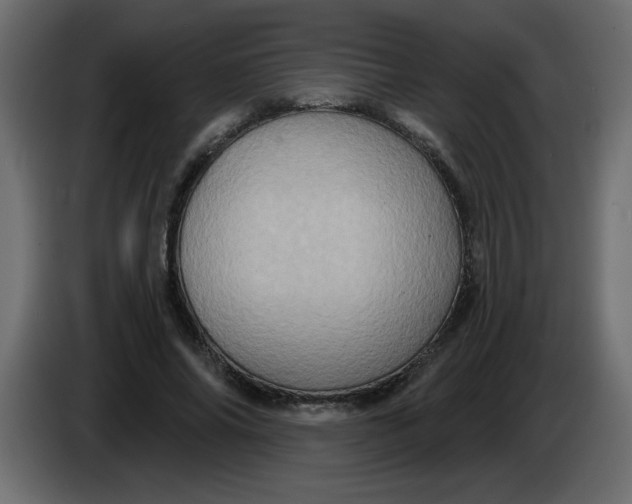 X0000083570686200703021747