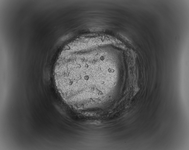 X0000083570687200703021747