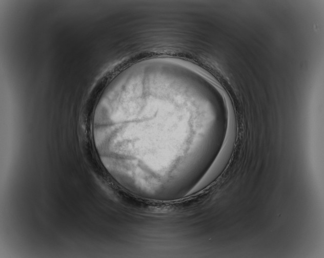 X0000083570688200703021747