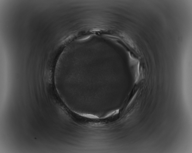 X0000083570689200703021747