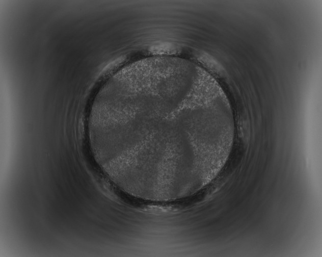 X0000083570690200703021747