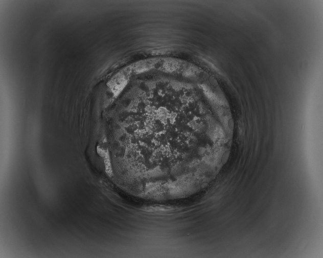 X0000083570691200703021747