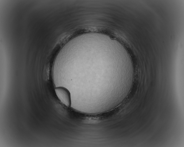 X0000083570694200703021747
