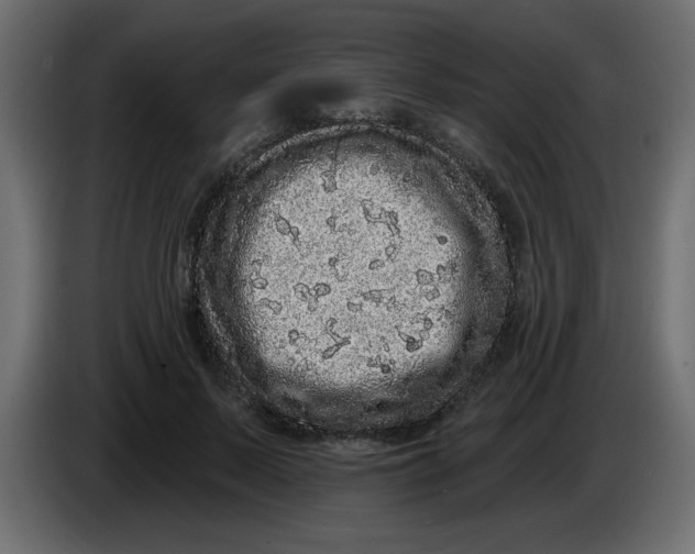 X0000083570695200703021747