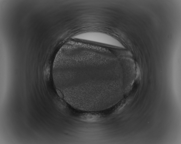 X0000083570697200703021747