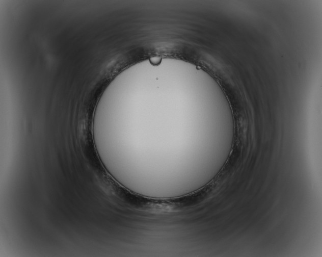 X0000083570698200703021747