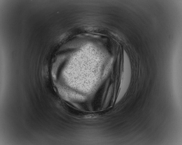 X0000083570700200703021747