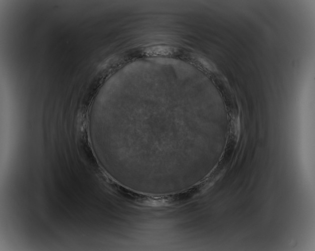 X0000083570701200703021747