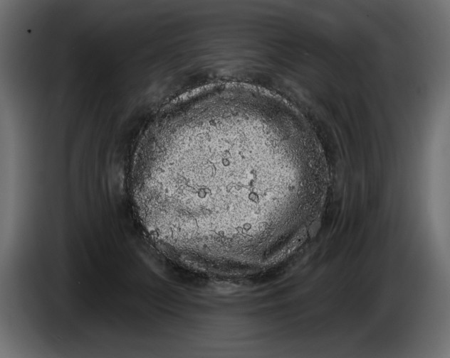 X0000083570703200703021747