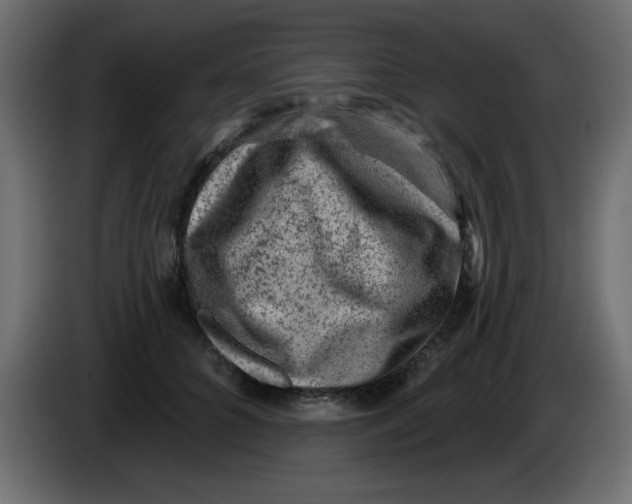 X0000083570704200703021747