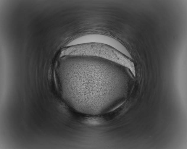 X0000083570708200703021747