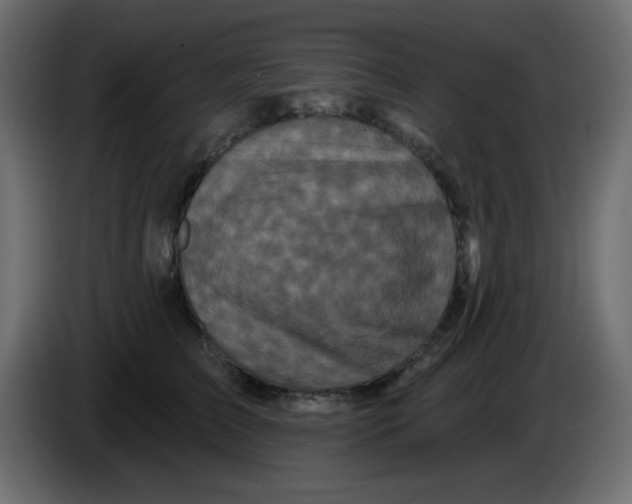 X0000083570709200703021747