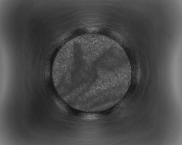X0000083570710200703021747