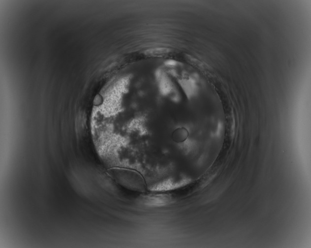 X0000083570711200703021747