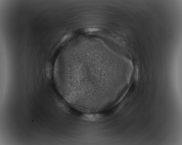 X0000083570712200703021747