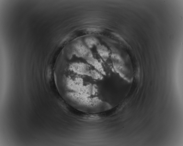 X0000083570715200703021747