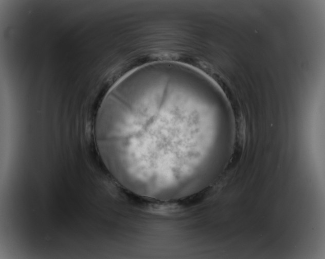 X0000083570716200703021747