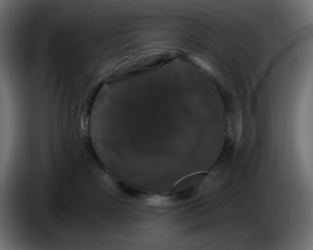 X0000083570718200703021747