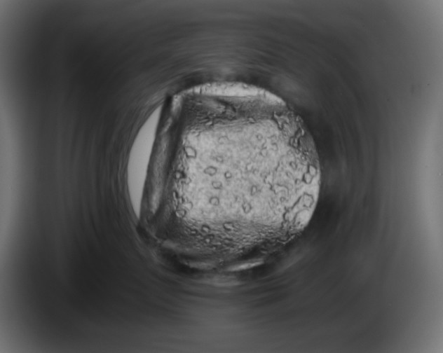 X0000083570719200703021747