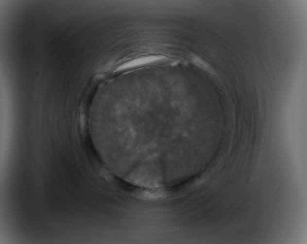 X0000083570720200703021747