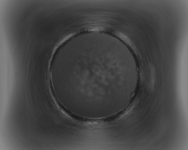 X0000083570721200703021746