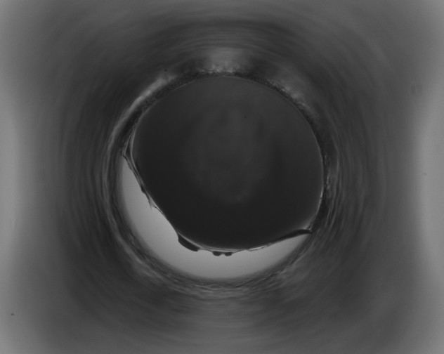 X0000083570722200703021746