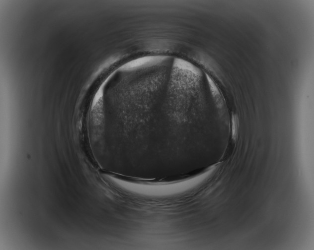 X0000083570723200703021746