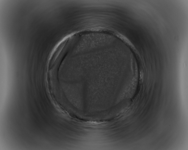 X0000083570724200703021746