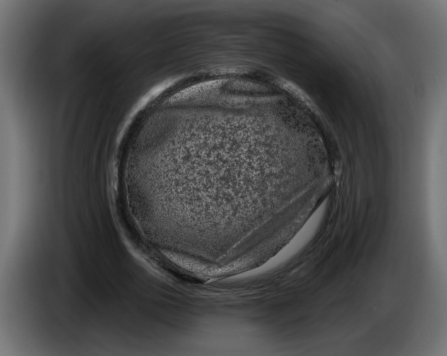 X0000083570726200703021746