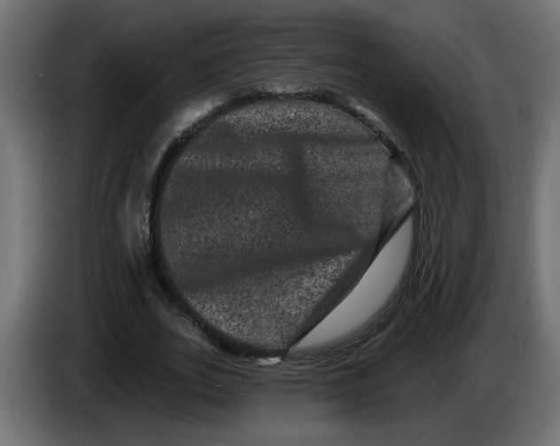 X0000083570727200703021746