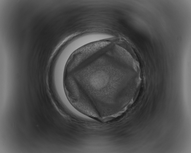 X0000083570728200703021746