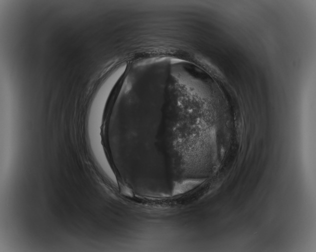 X0000083570729200703021746