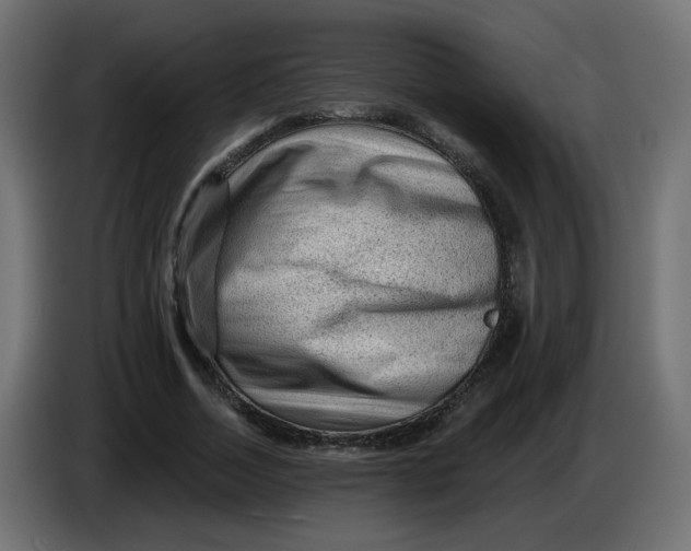 X0000083570730200703021746