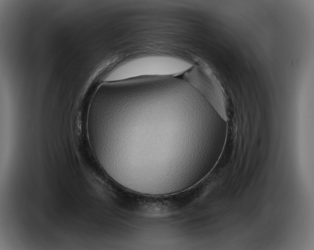 X0000083570731200703021746