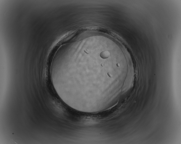 X0000083570732200703021746