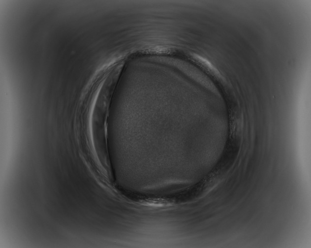 X0000083570736200703021746