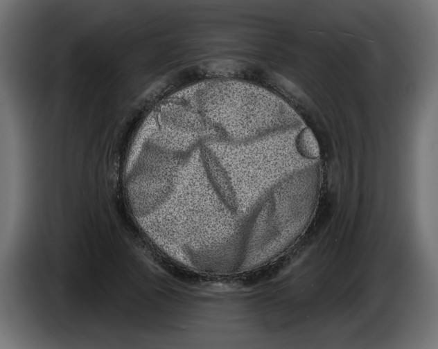 X0000083570737200703021746
