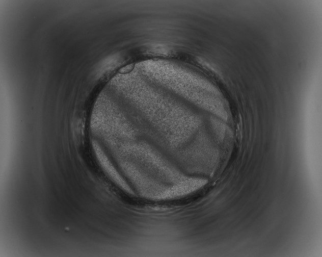 X0000083570739200703021746