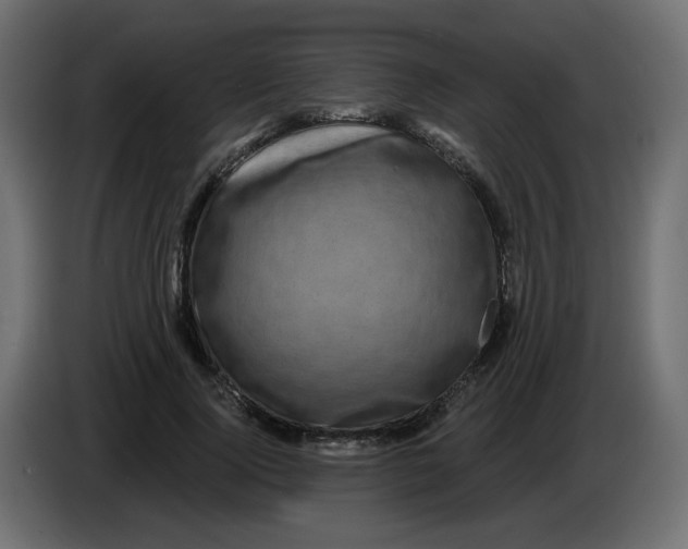 X0000083570740200703021746