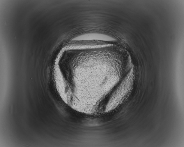 X0000083570742200703021746