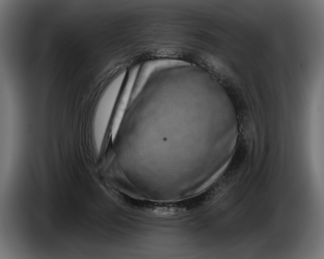 X0000083570744200703021746