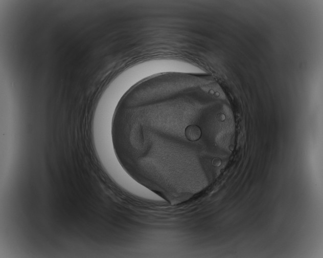 X0000083570746200703021746