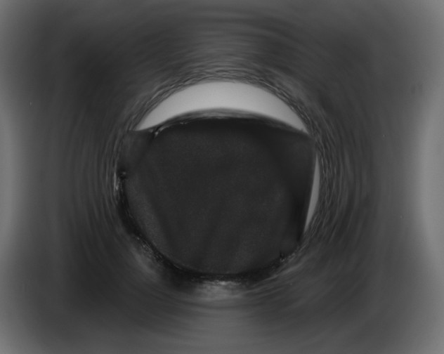 X0000083570748200703021746
