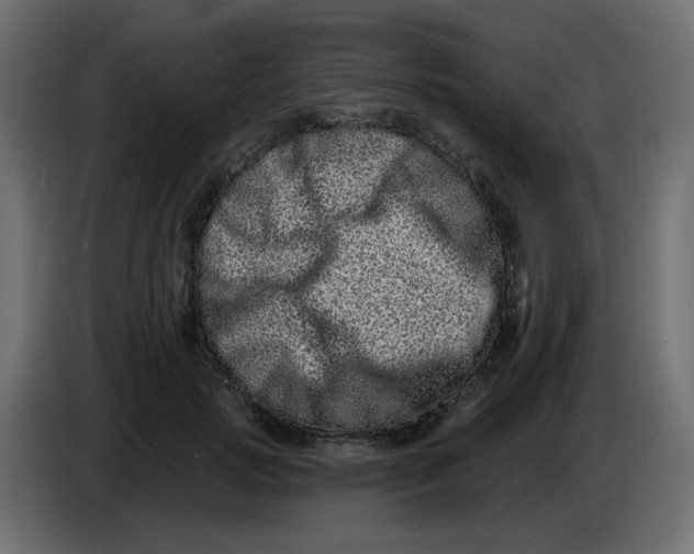 X0000083570749200703021746