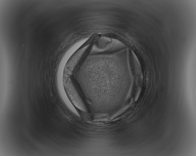 X0000083570750200703021746