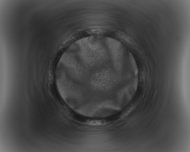 X0000083570751200703021746
