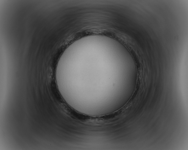 X0000083570752200703021746