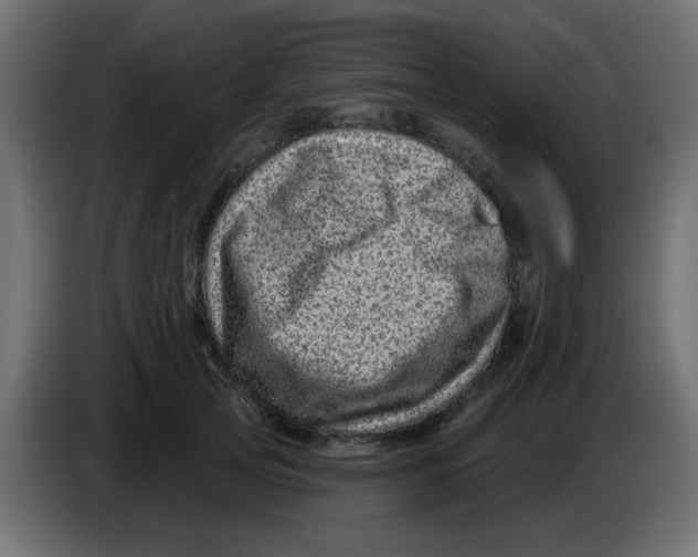 X0000083570753200703021746