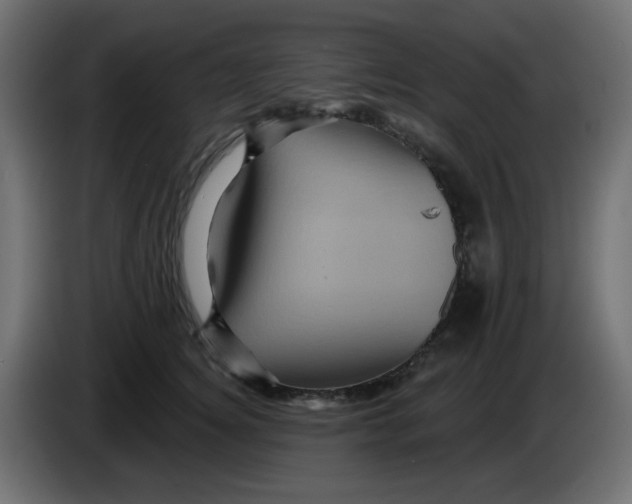 X0000083570756200703021746